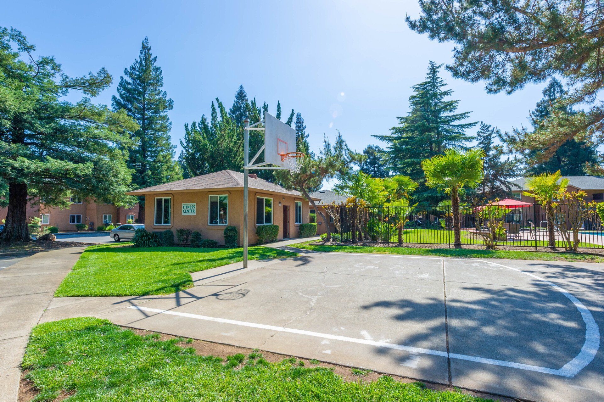 Pine Tree Basketball Court
