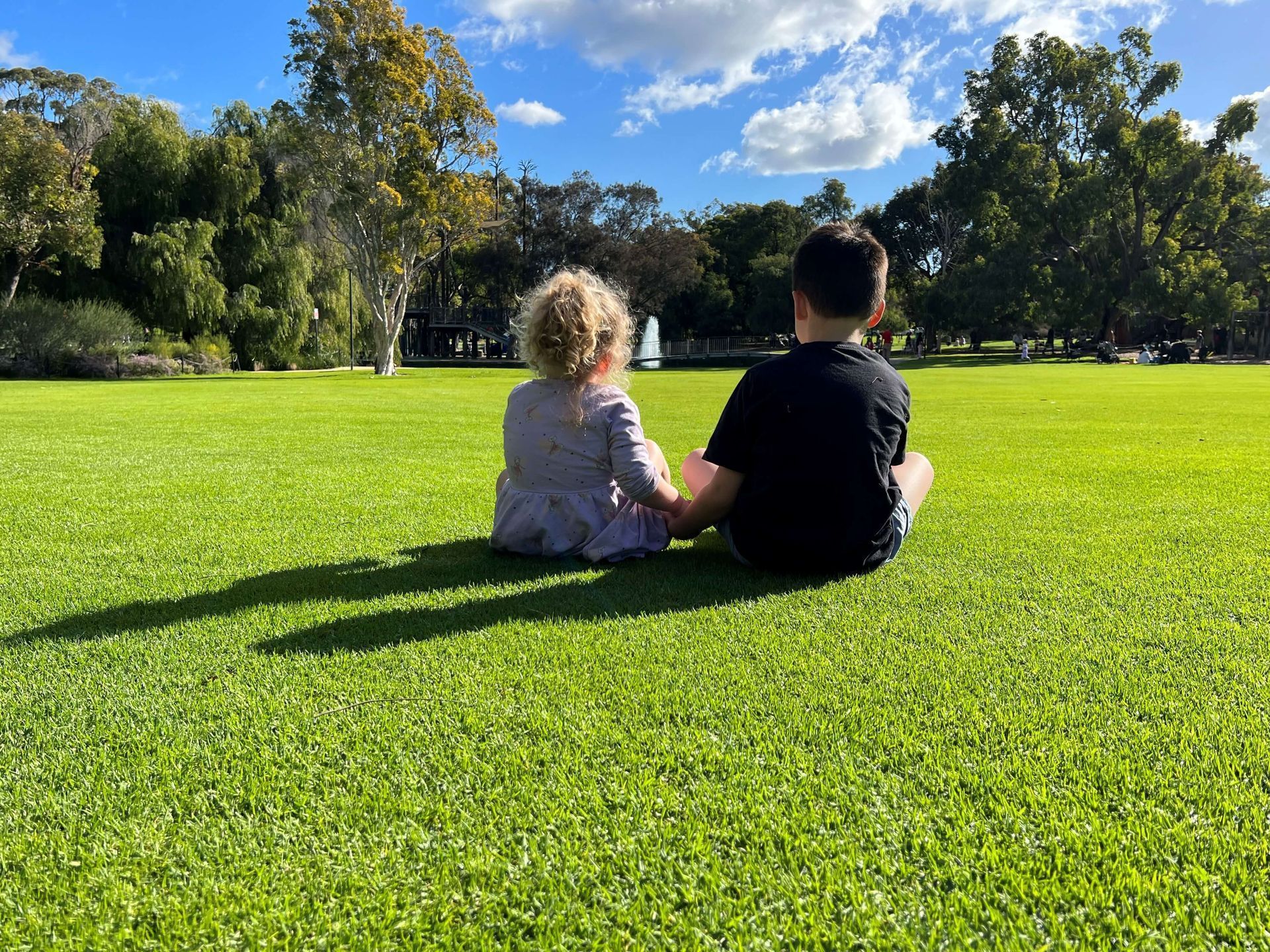 artificial grass