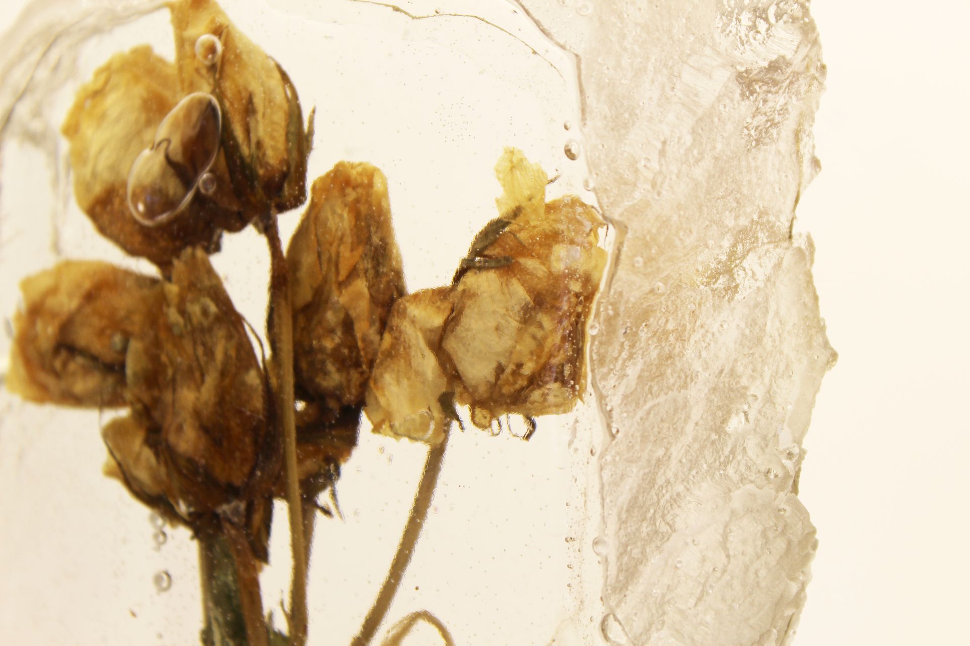 art object de memori close up