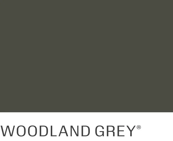 A swatch of woodland grey paint on a white background.