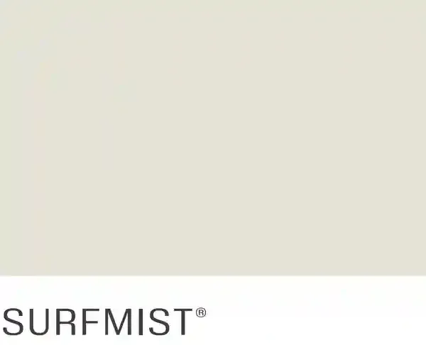 A white background with the word surfmist on it.