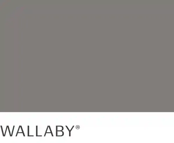 A gray background with the word wallaby on it.