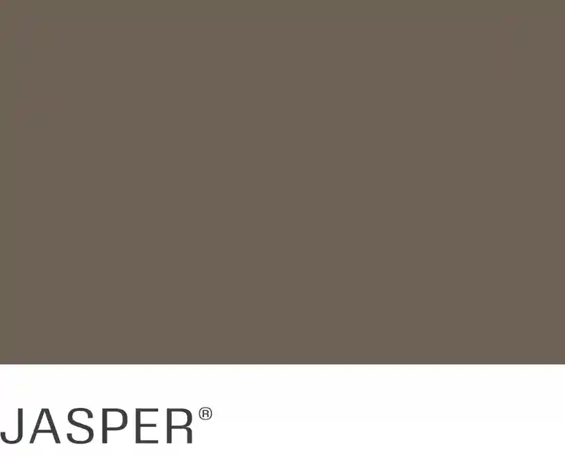 A close up of a piece of paper with the word jasper on it.