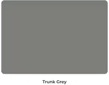 A picture of a trunk grey paint color.