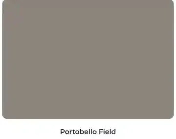 A picture of a gray rectangle with the name portobello field on it.