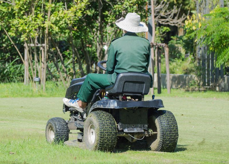 Ride-On Lawn Mower Cutting Grass — Ballina Tyrepro in Ballina, NSW