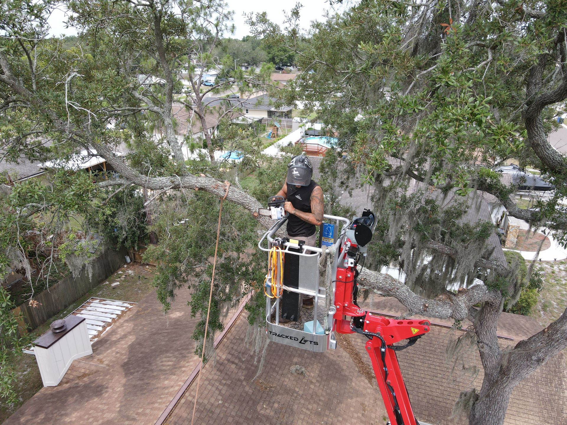 Tree Cutting Bradenton