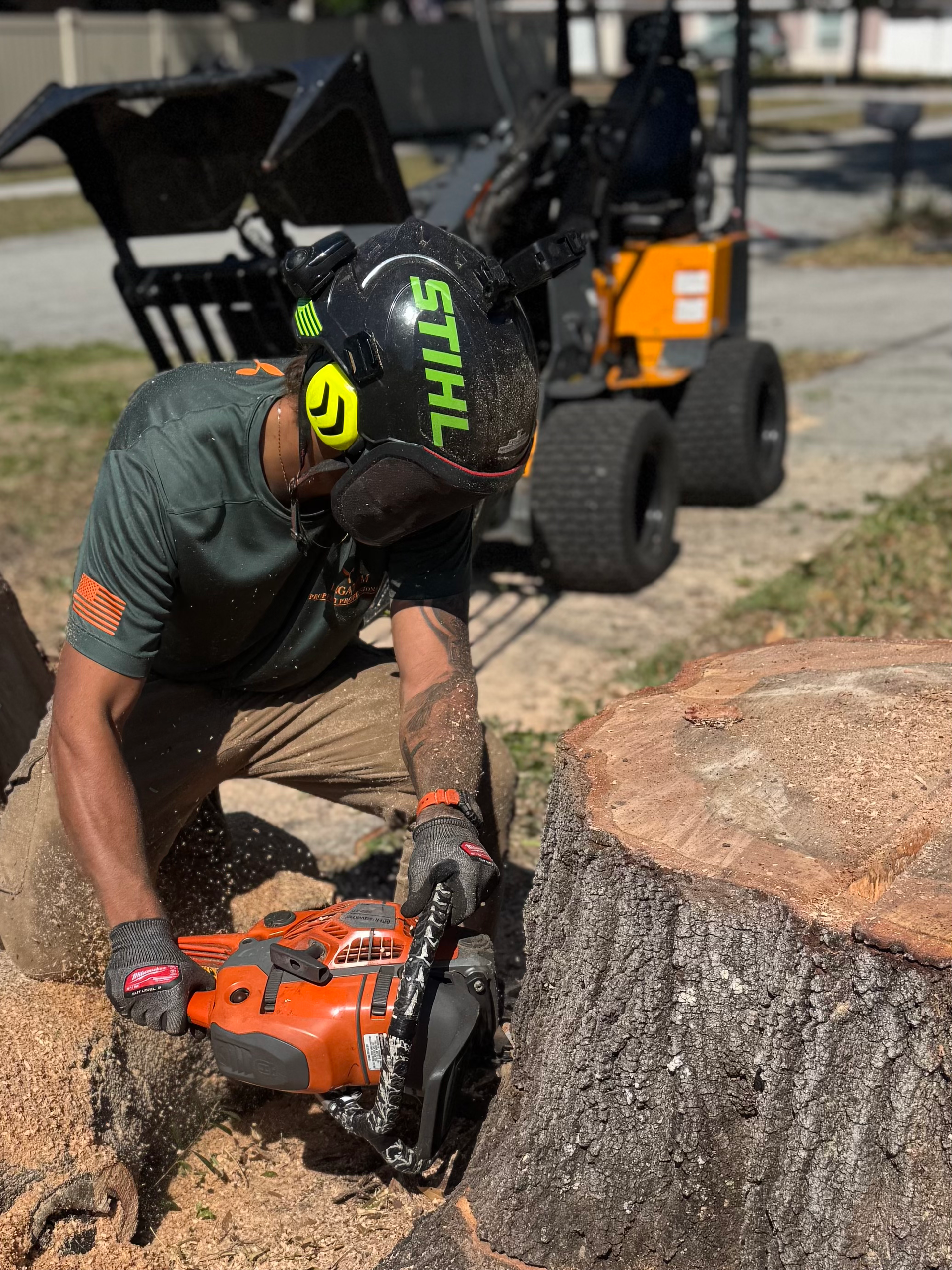 Tree Removal Brandon 