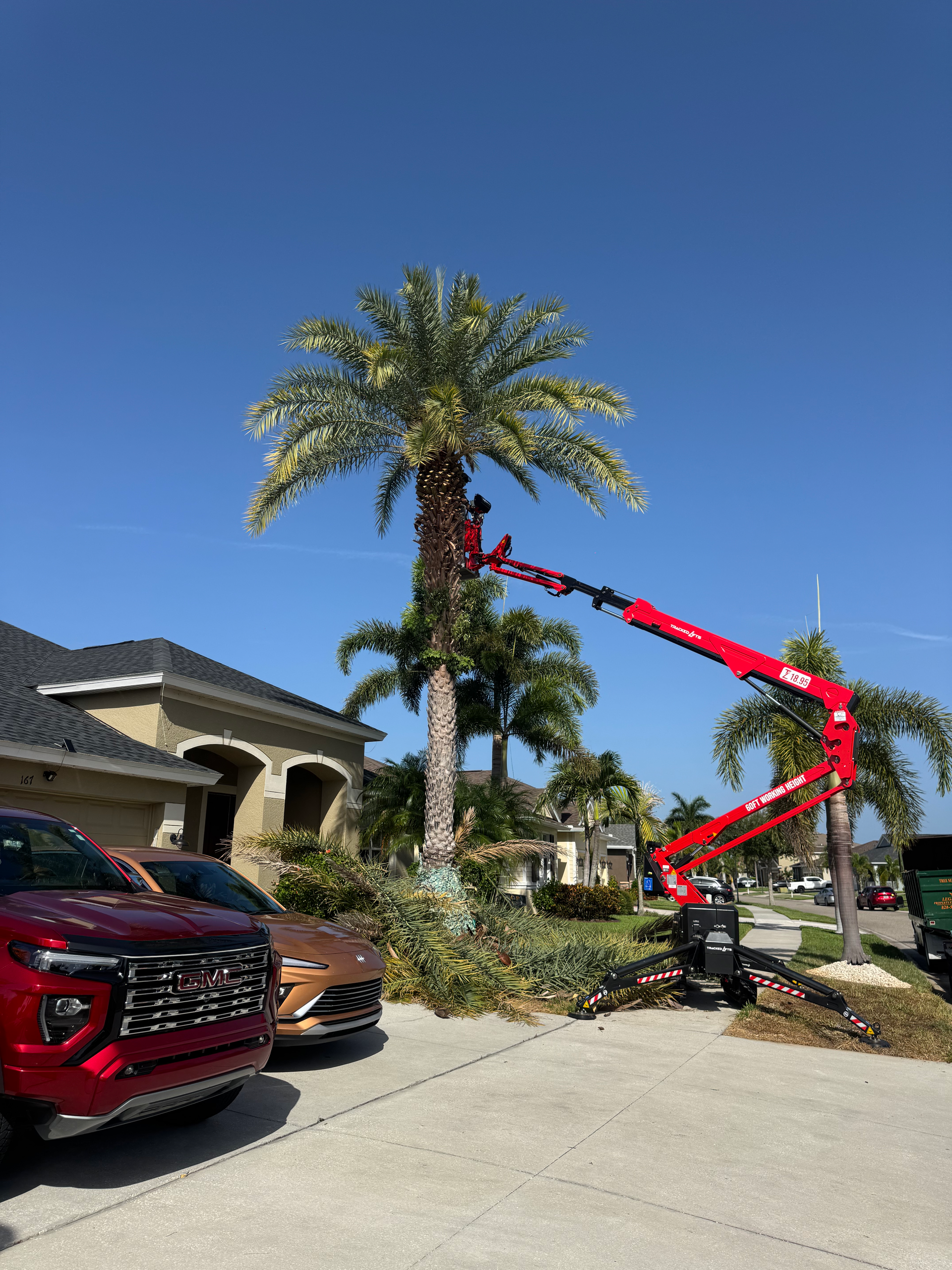 Tree Removal Pinellas Park