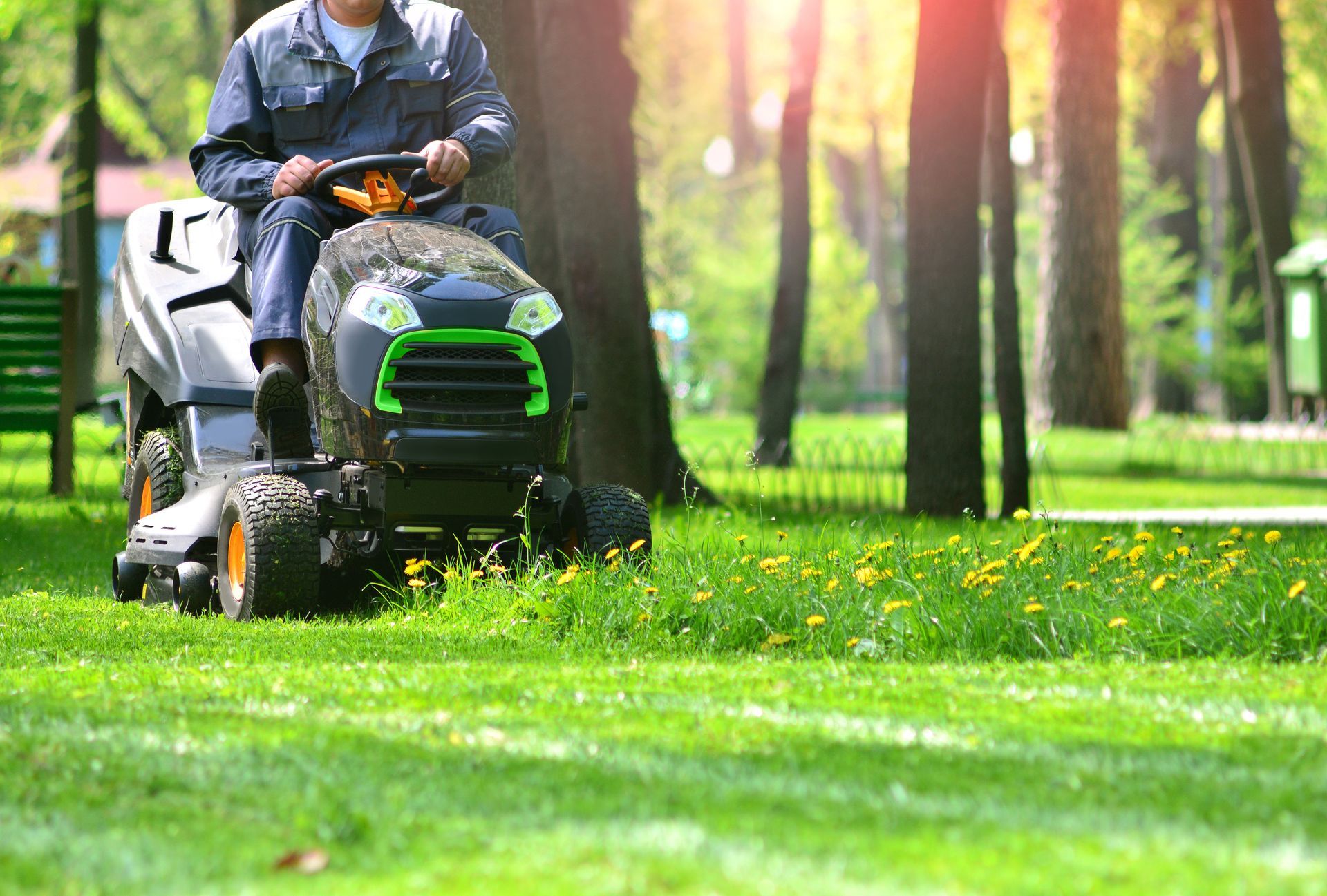 Green grass trimmed with lawn mower.