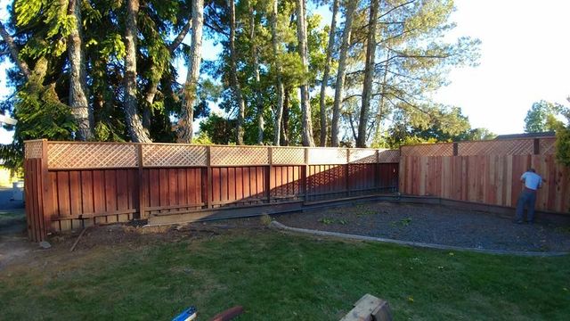 wooden fence in a backyard.