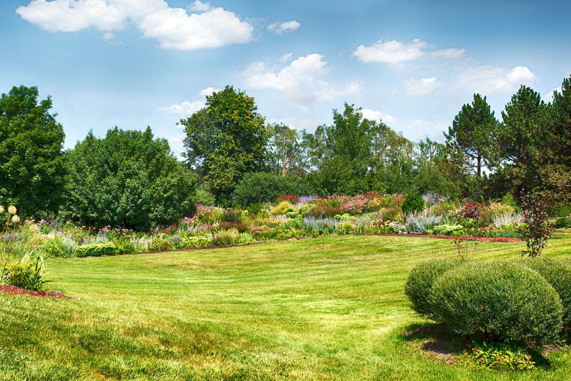 Shrubs | Gilberts, IL | Crown Tree Care Inc.