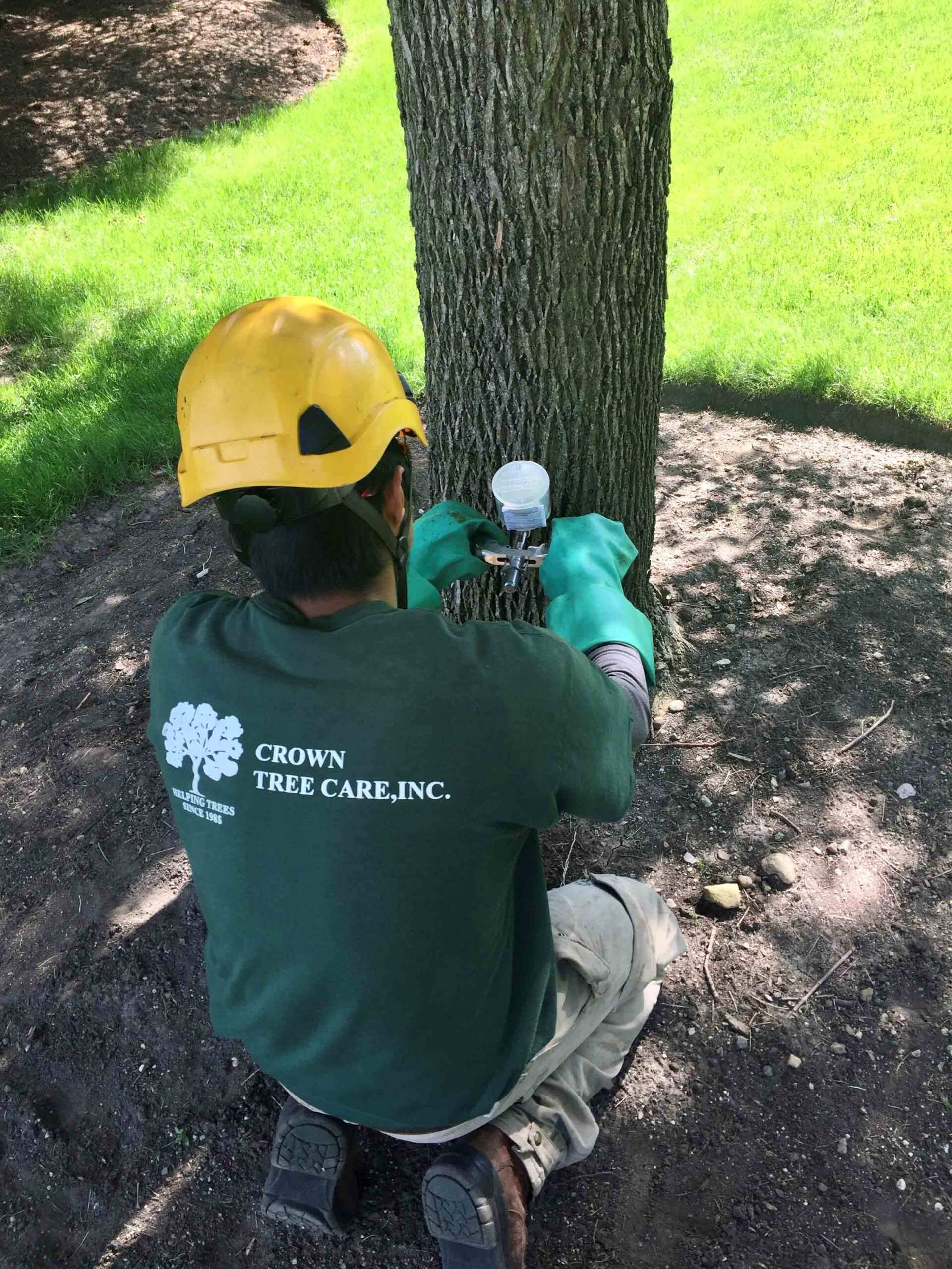 Worker | Gilberts, IL | Crown Tree Care Inc.