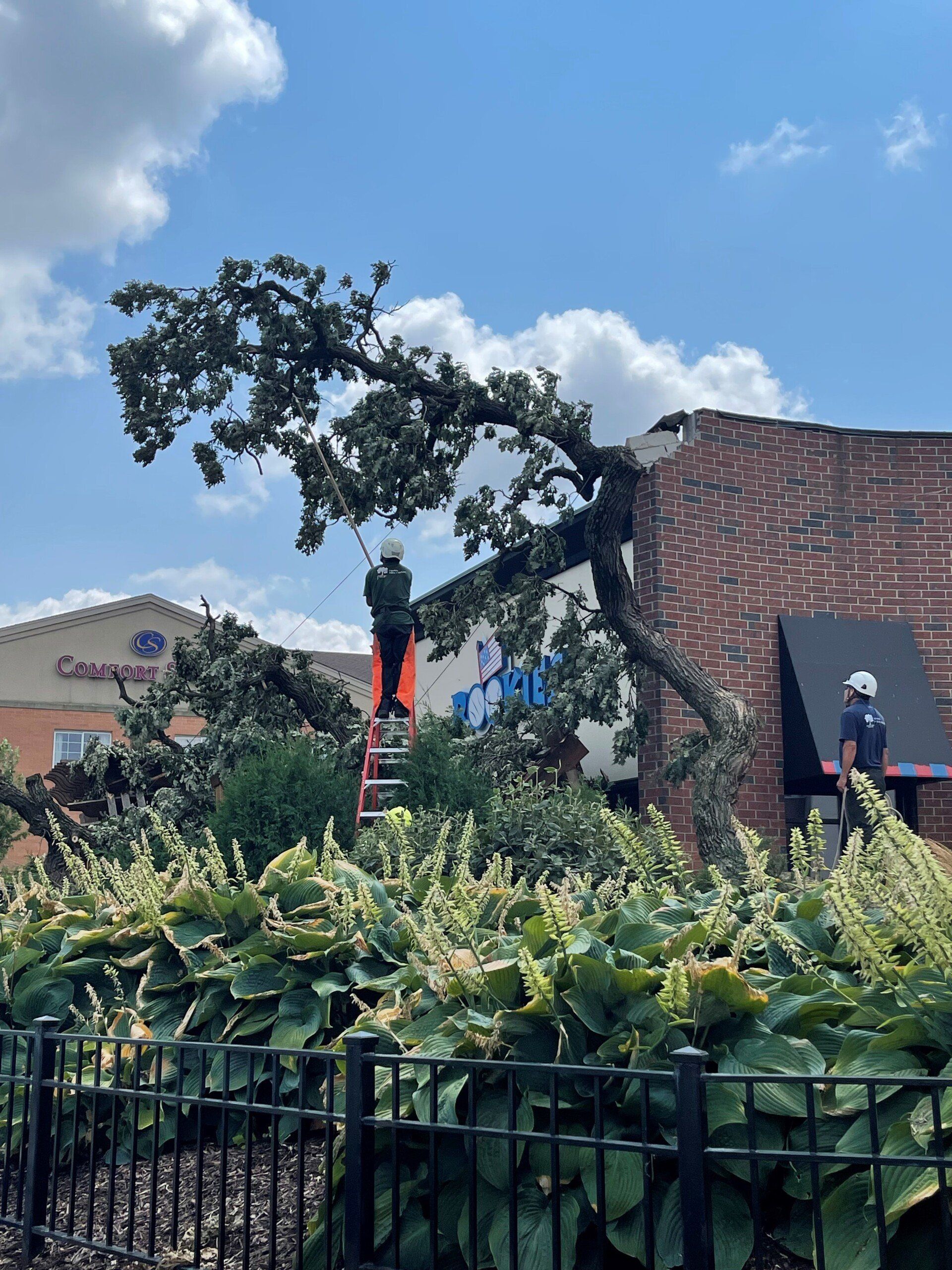 Storm Damage | Gilberts, IL | Crown Tree Care Inc.
