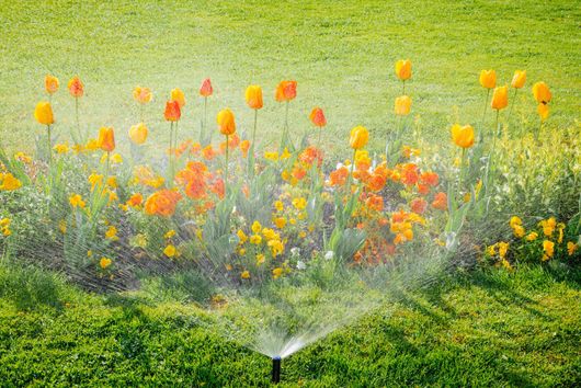 Giardino florido