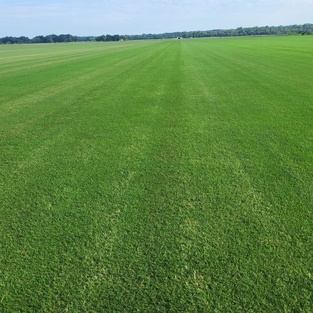Sod Rolls — Tulsa, OK — Tulsa Sod & Mulch
