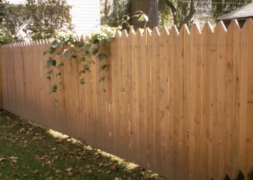 A wooden fence with ivy growing on the side of it.