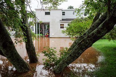 Flood