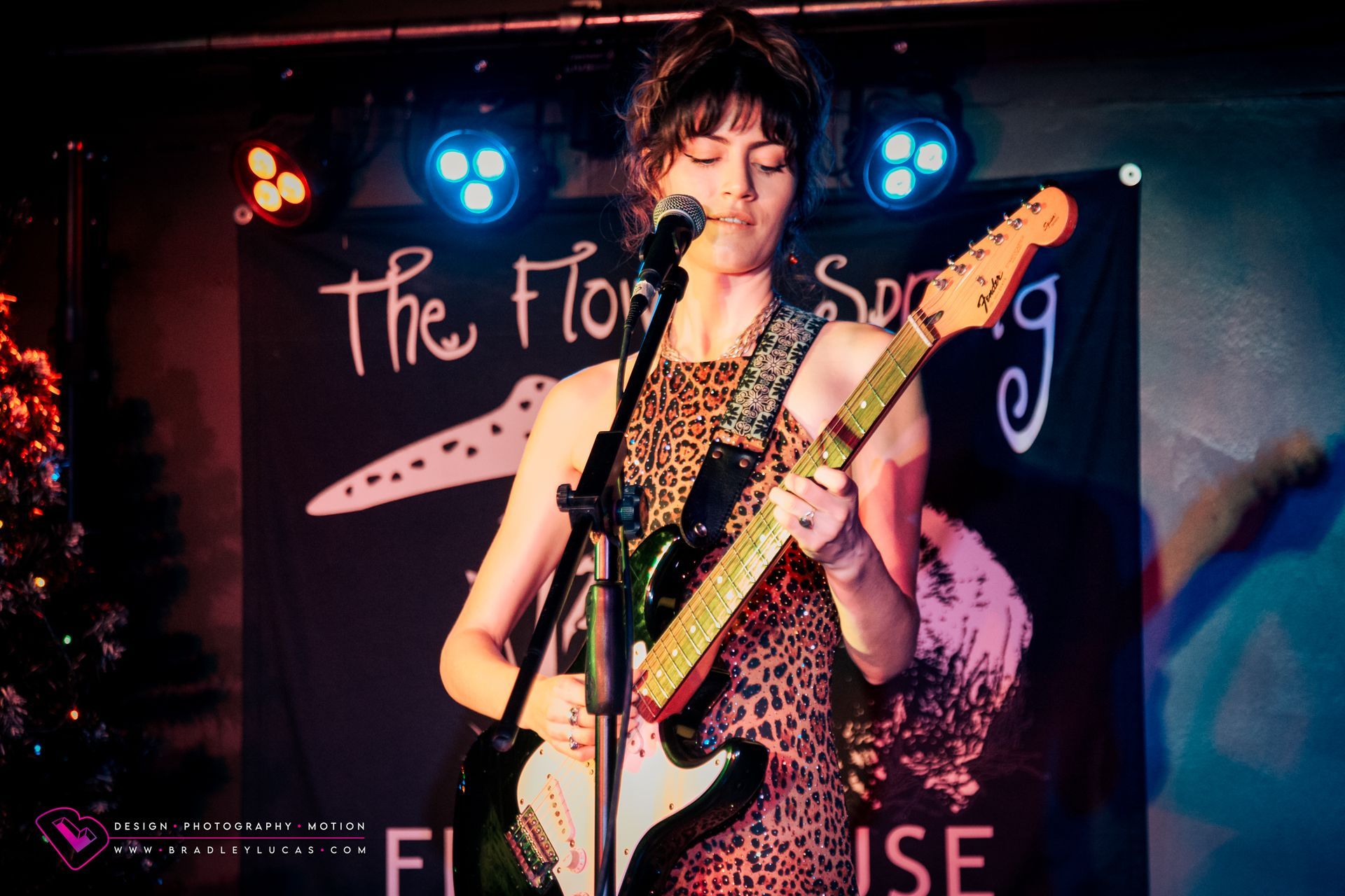 Lucca Mae in the Acoustic Lounge at The Flowing Spring
