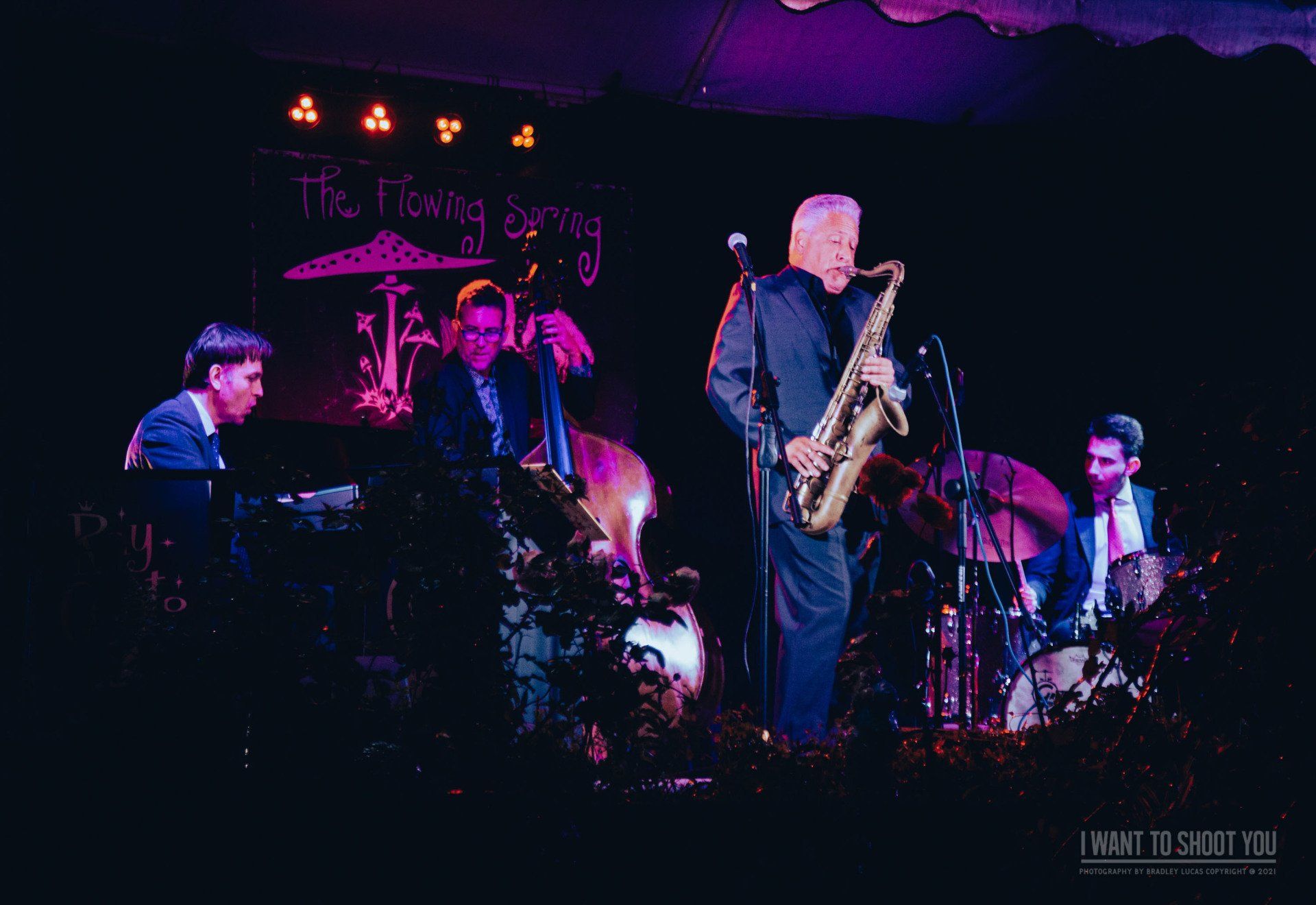 Ray Gelato at The Flowing Spring