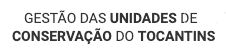 A white background with black text that says gestão das unidades de conservacao do tocantins