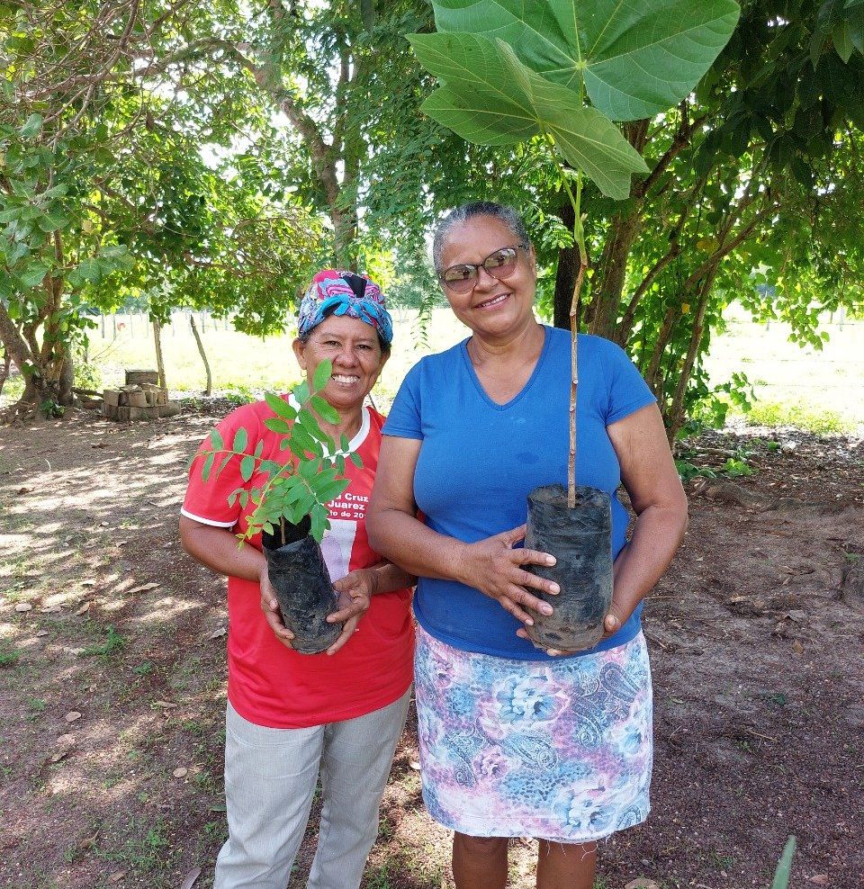 Duas mulheres em pé uma ao lado da outra segurando vasos de plantas