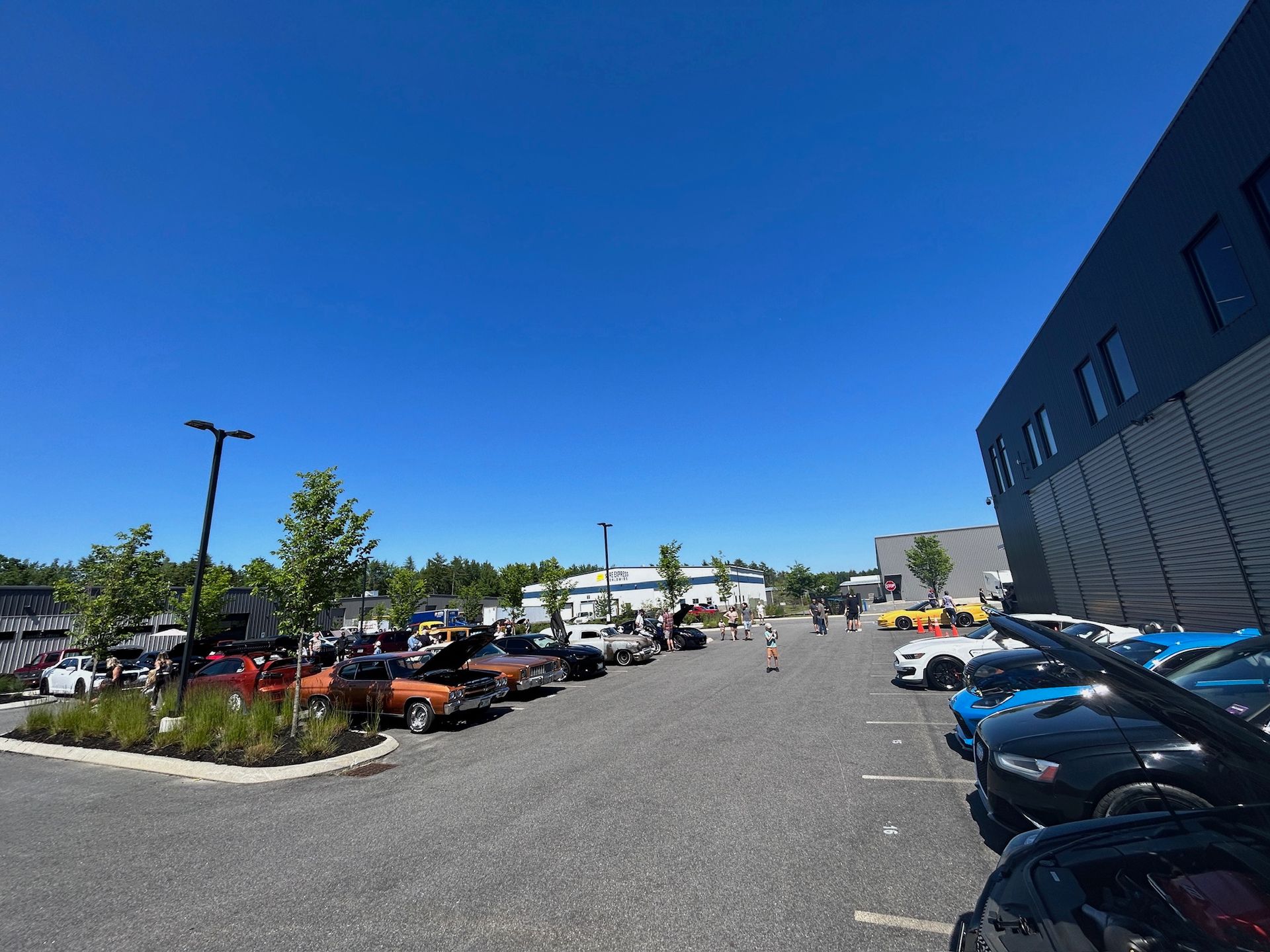 A lot of cars are parked in a parking lot in front of a building.