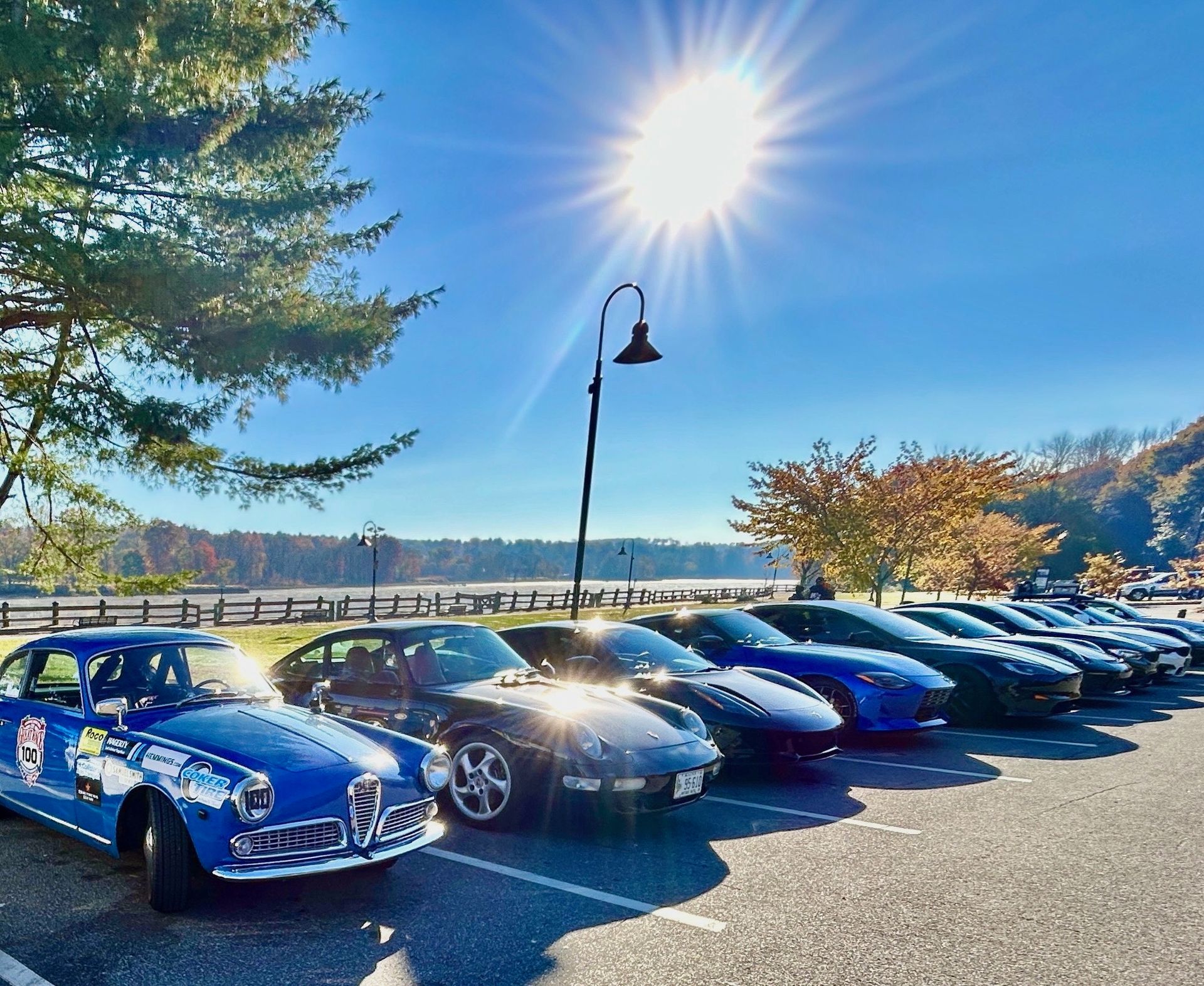 A row of blue cars are parked in a parking lot