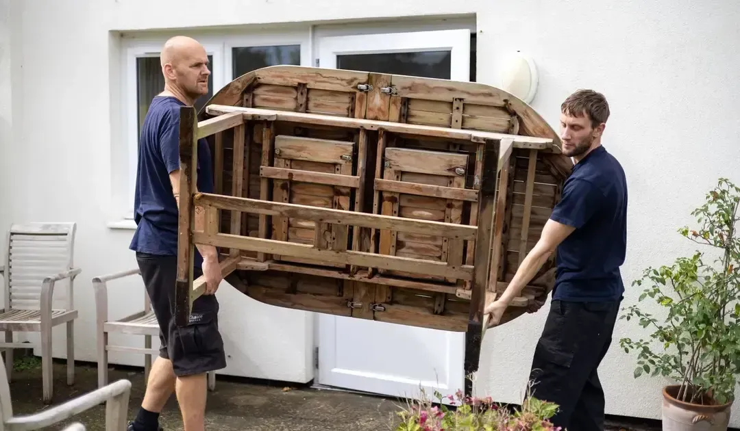 removal experts