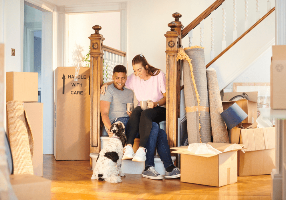 Moving with Pets: Ensuring Comfort and Safe