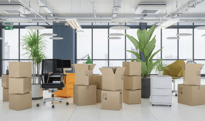 business removal specialists Wimborne
