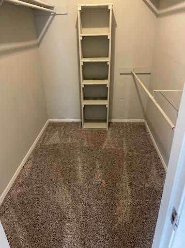 Empty carpeted closet with shelves and hanging rods on both sides