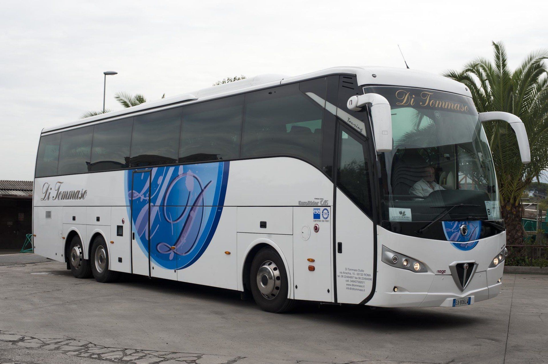 Di Tommaso Noleggio Pullman Roma