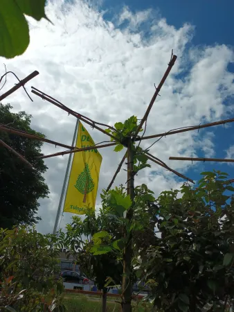 Een boom met uitgestrekte takken, nieuwe bladeren en een gele vlag tegen een blauwe hemel.