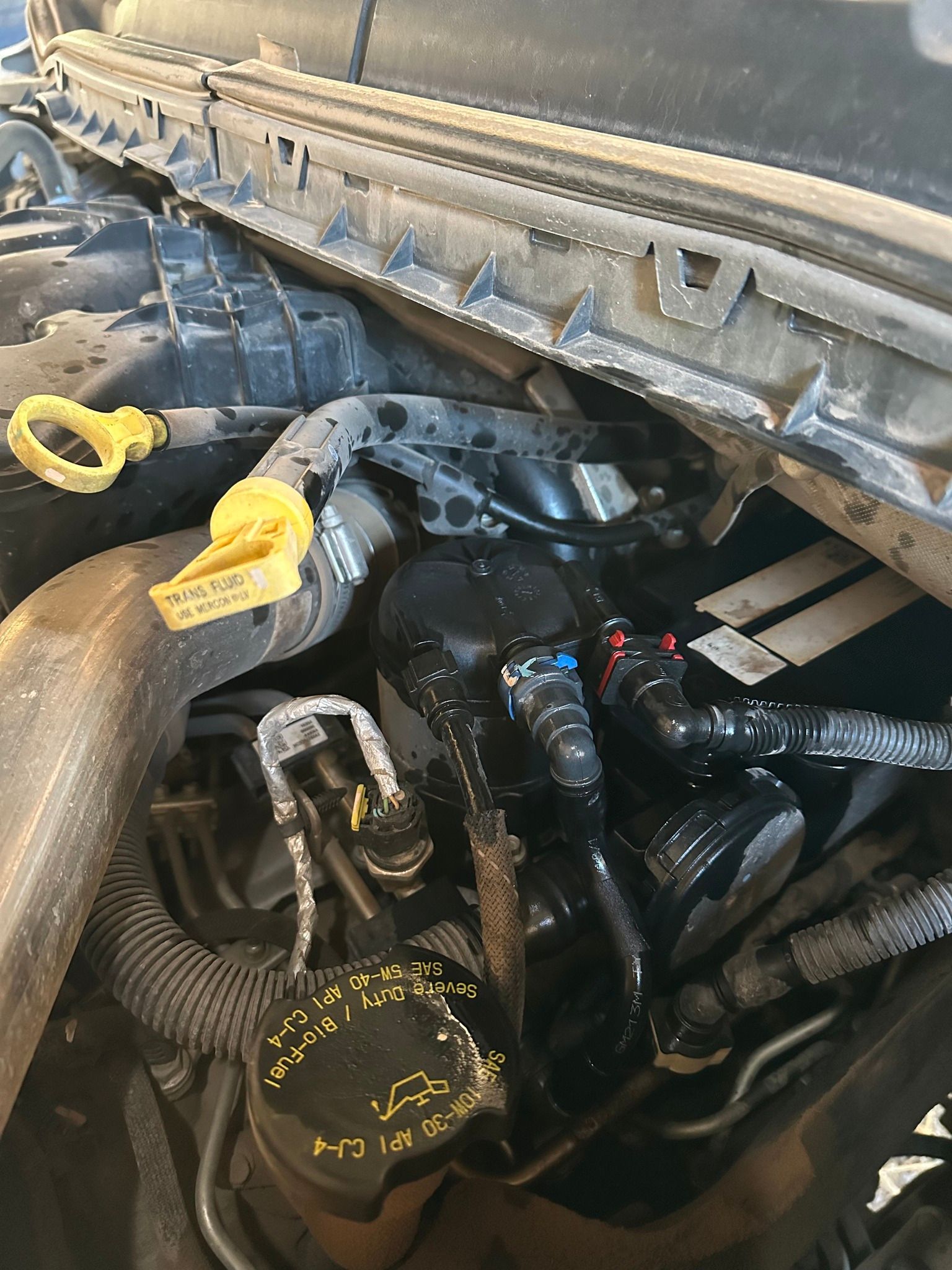Engine bay with yellow dipsticks, hoses, and wiring under an open hood