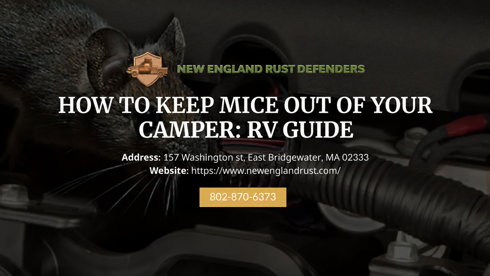 How To Keep Mice Out Of Camper & RV