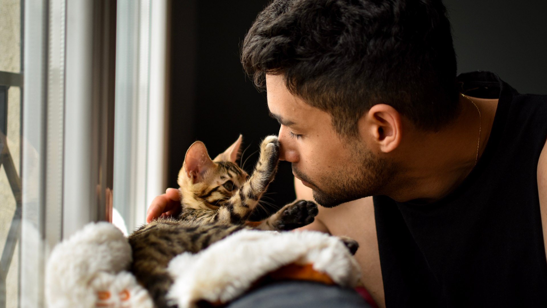 Man and tabby cat touch noses by a window, with a soft blanket in the foreground.