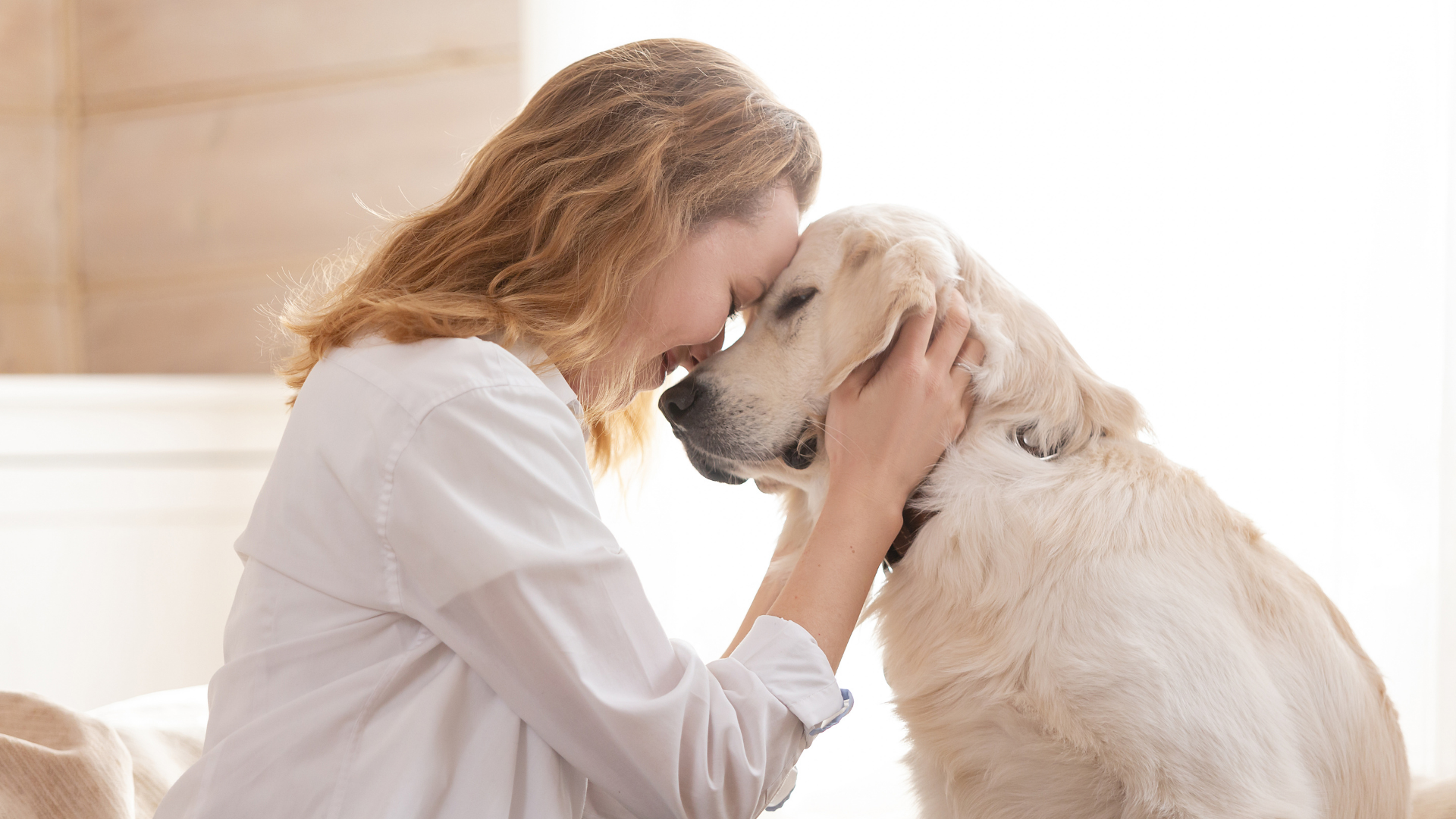 Woman gently embracing a golden retriever on a bright white couch