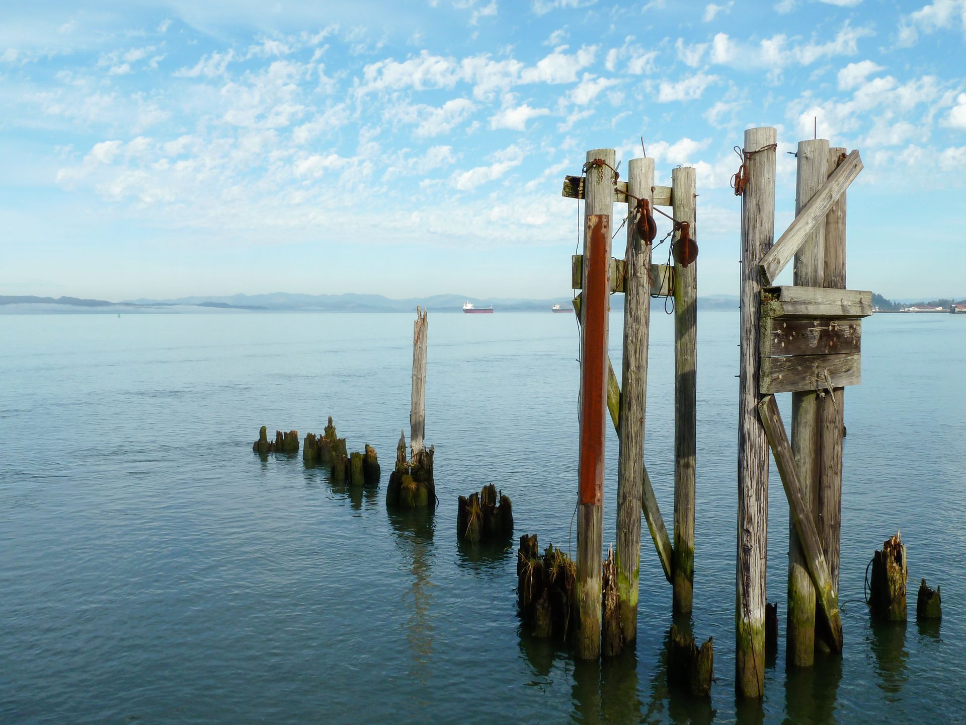 A row of wooden posts in the middle of a body of water