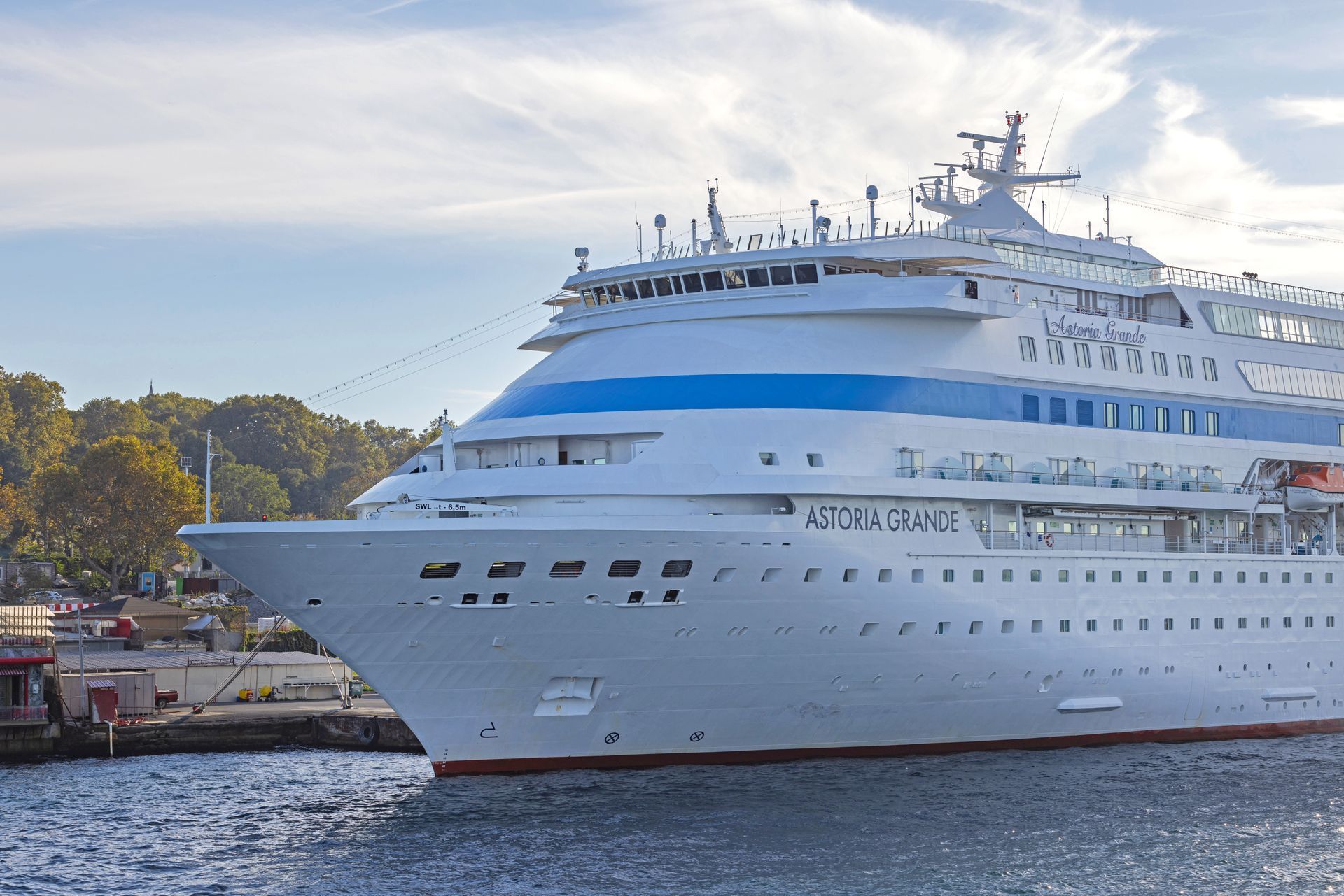 A large white cruise ship is docked in the water.