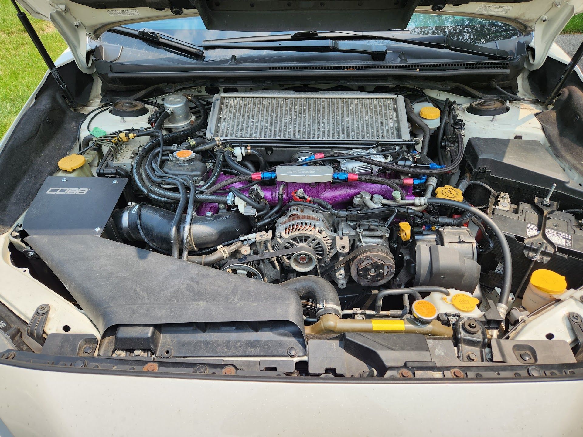 The open engine bay of a Subaru featuring a large top-mounted intercooler and a purple intake manifold. | Teter Automotive