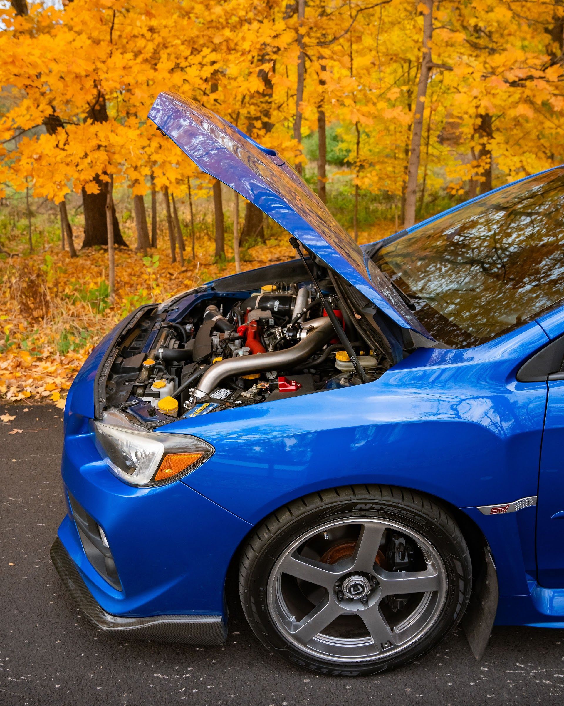 A bright blue car with its hood open, parked in a forest setting with vibrant yellow autumn foliage. | Teter Automotive