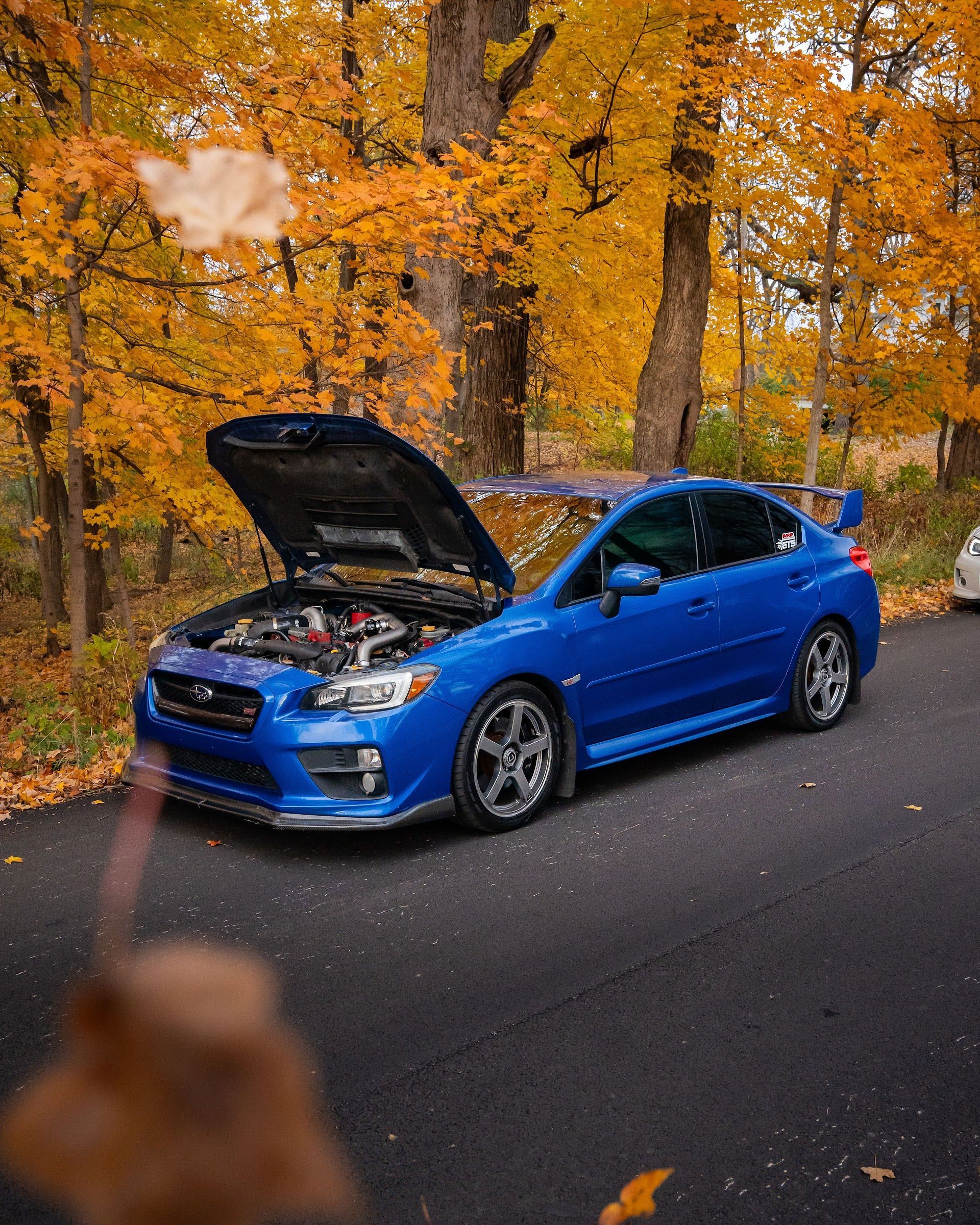 A blue Subaru WRX STI with its hood open, parked on a paved road surrounded by vibrant autumn trees with yellow leaves. | Teter Automotive