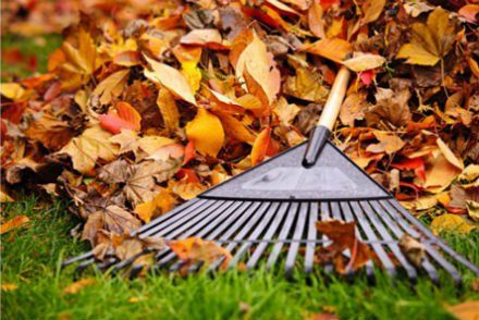 Seasonal Yard Cleanup in Boise, ID