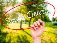 Spring Yard Clean Up