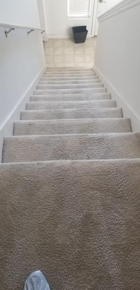 Carpeted staircase leading to a white hallway, with a black trash bin at the top.