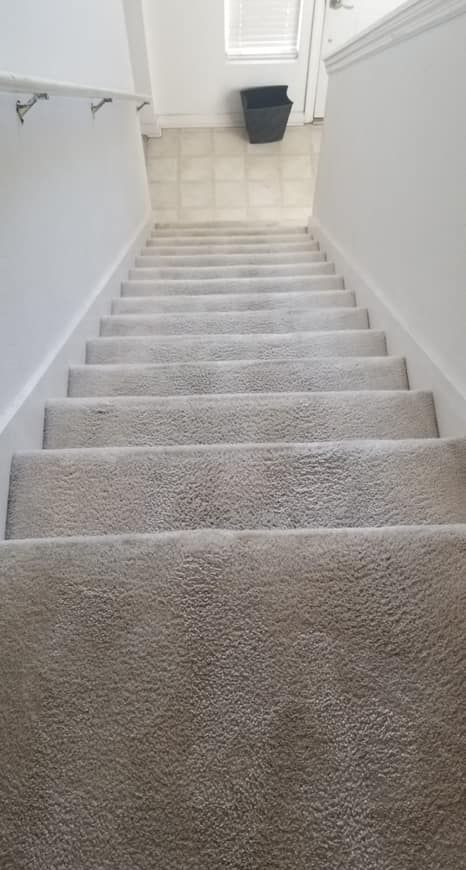 stain removal near me Carpeted staircase ascending indoors with white walls and a black planter at the top