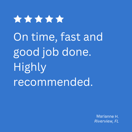 carpet cleaning specialists near me