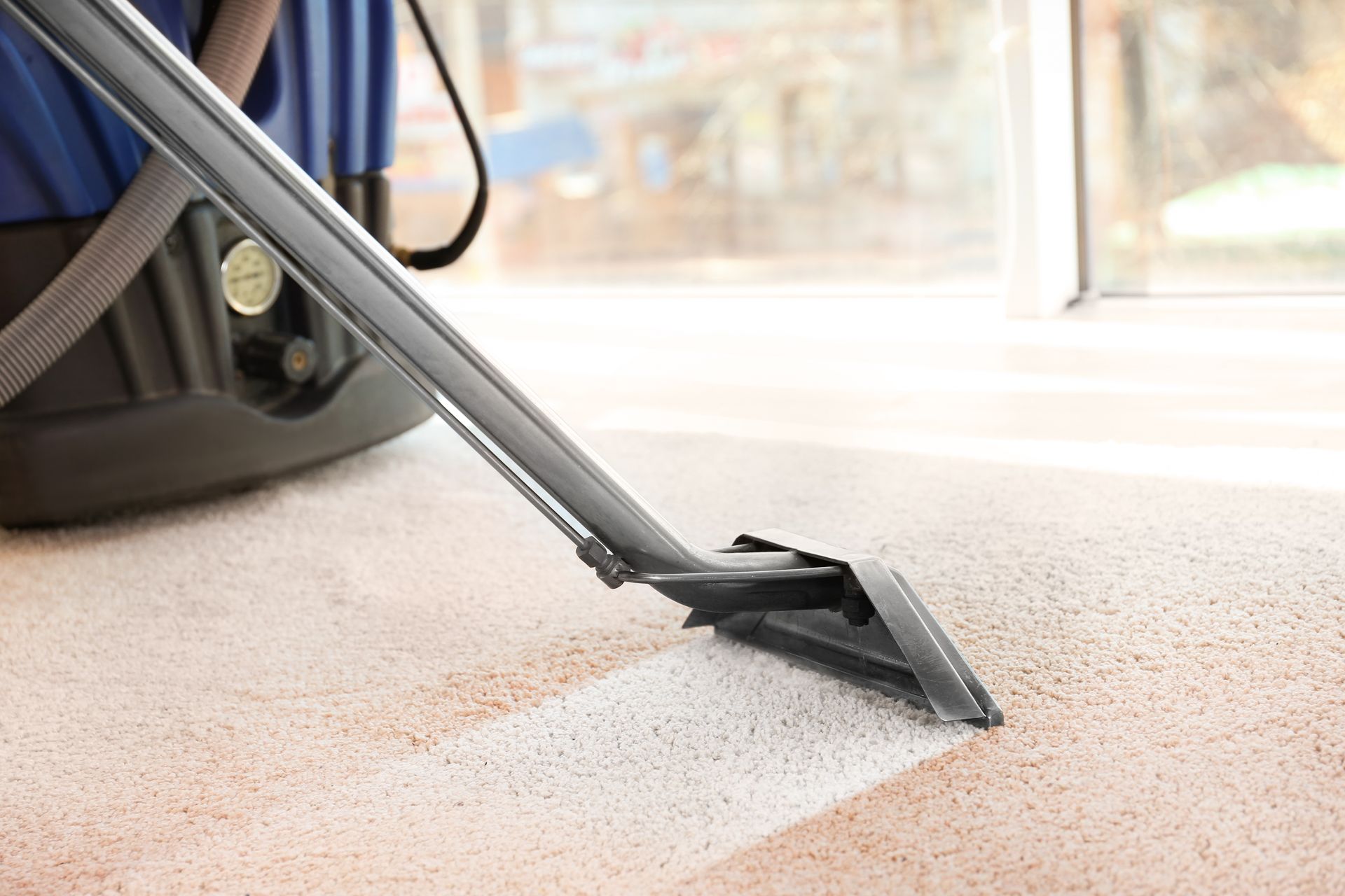 Carpet Cleaning, Tampa FL