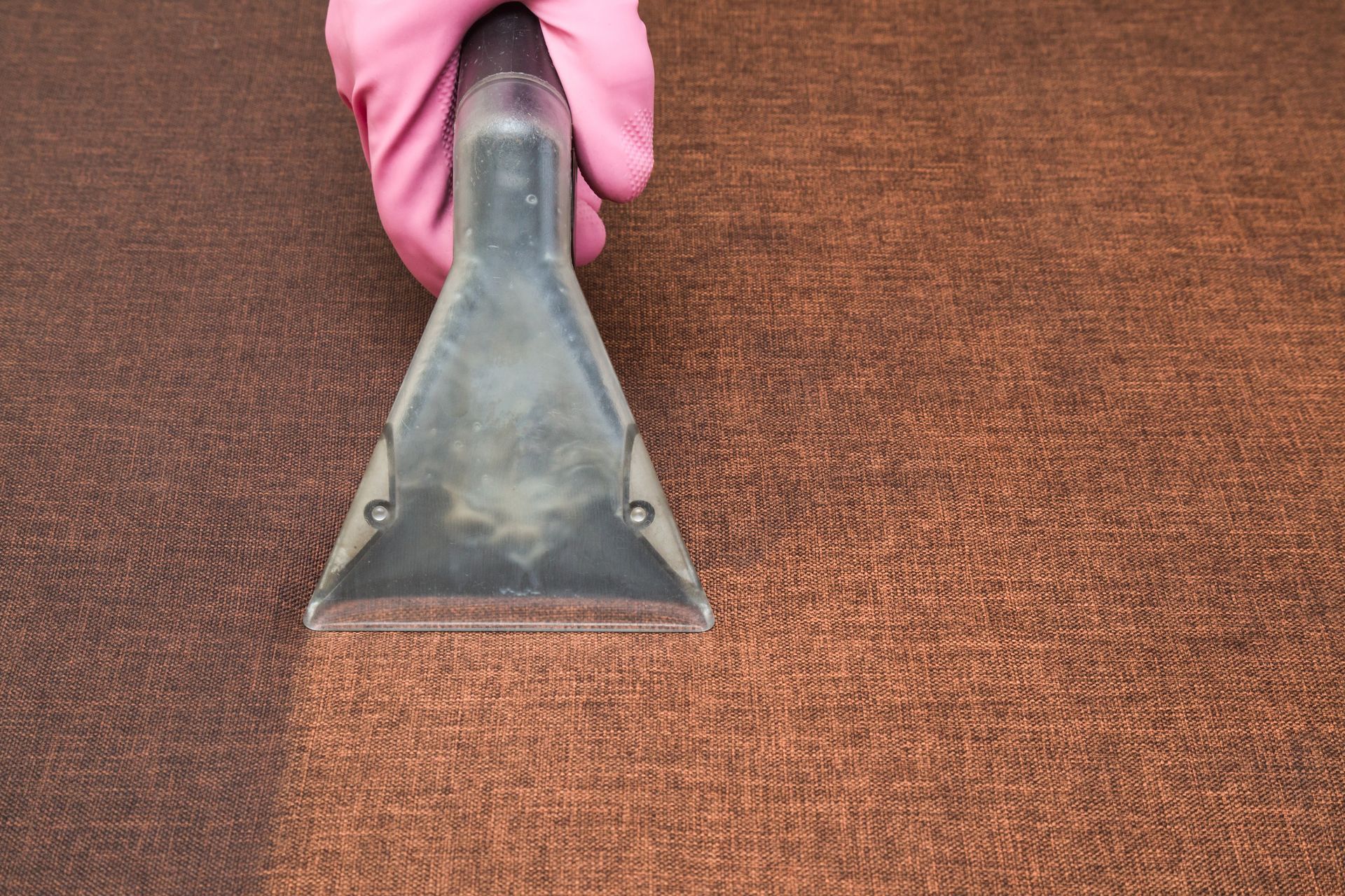 carpet cleaners in tampa fl carpet cleaners in tampa fl